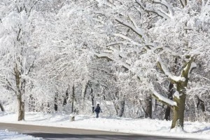 Snowy Day