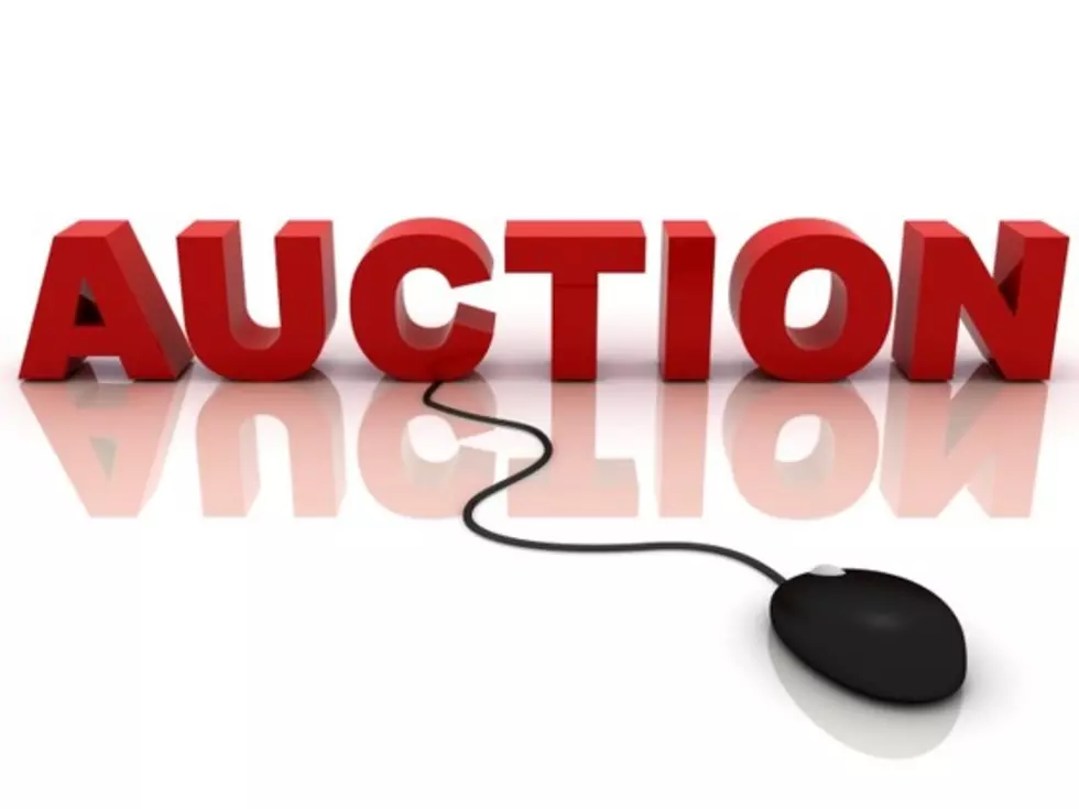 Bid Early And Often In The &#8216;Moose Mega Auction&#8217;