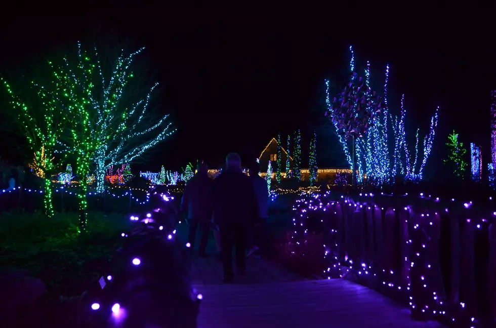 Four Great Spots In Central Maine To See Some Magical Christmas Light Displays