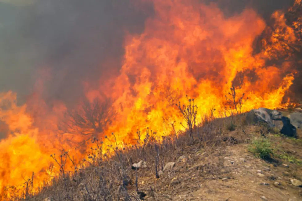 Maine Suspends Online Burning Brush Permits Due To Dry Conditions