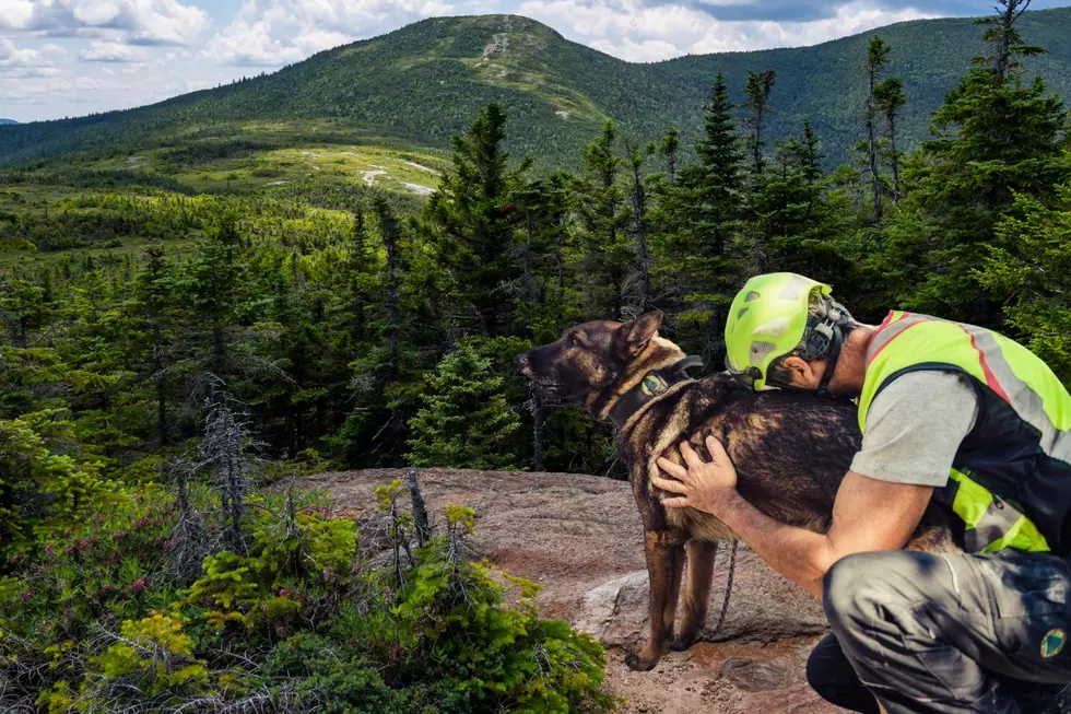 Mother’s Nightmare Turns to Relief: Missing Toddler Found by Maine Warden K-9