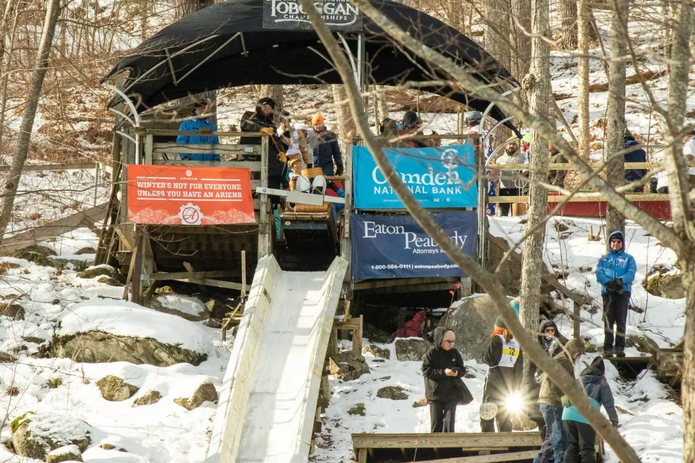 35th Annual U.S. Toboggan Championships Bring High-Speed Winter Thrills to Camden, Maine