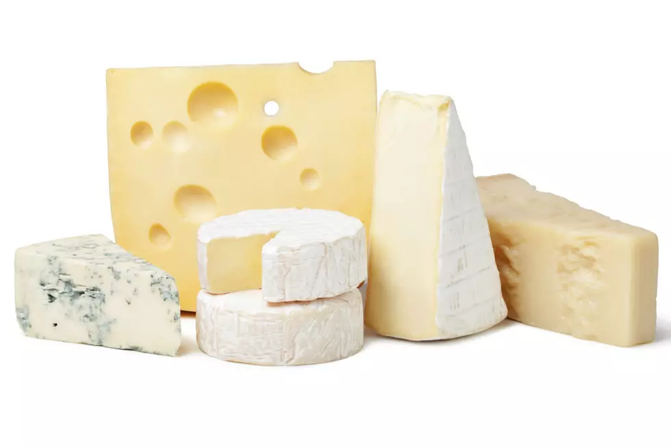 Get Your Cheese on: Join the Fun at the Maine Cheese Festival